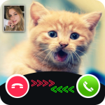 cat call you – fake video call