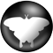 Qmmp 2.2.8