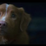 فیلم Good Boy با استقبال گسترده روانه اکران سراسری می‌شود